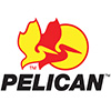 Pelican flashlights